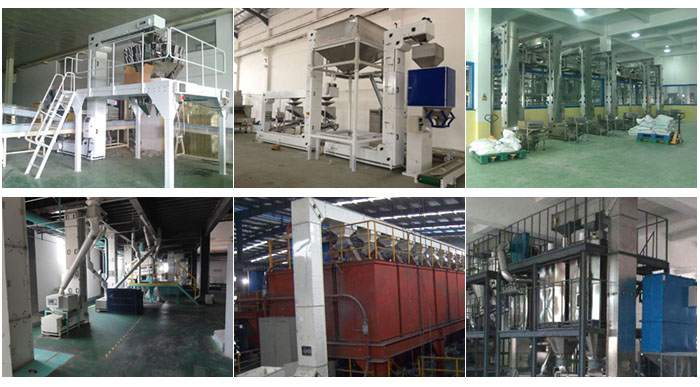 z型斗式提升機食品廠配合包裝機輸送，輸送小麥，碎礦石輸送等現(xiàn)場案例展示。